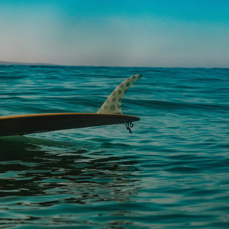 Load image into Gallery viewer, Mid Fin Co. Loindaflow Double Take Single Fin 5
