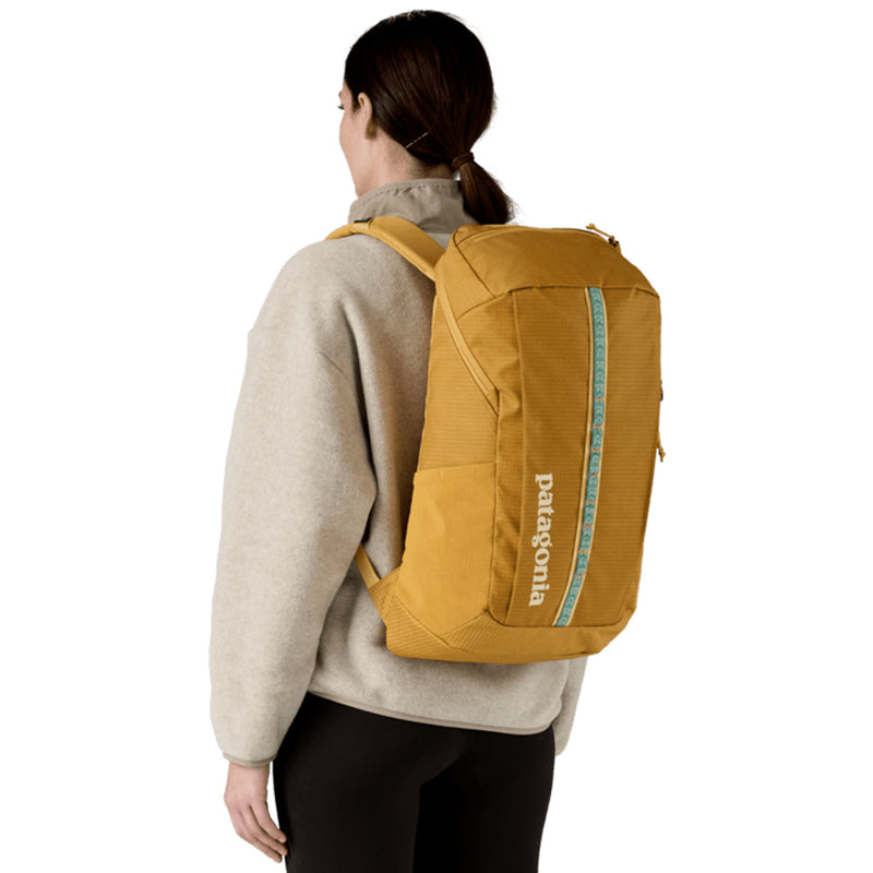 Load image into Gallery viewer, Patagonia Black Hole Backpack - 25L • 2025 13