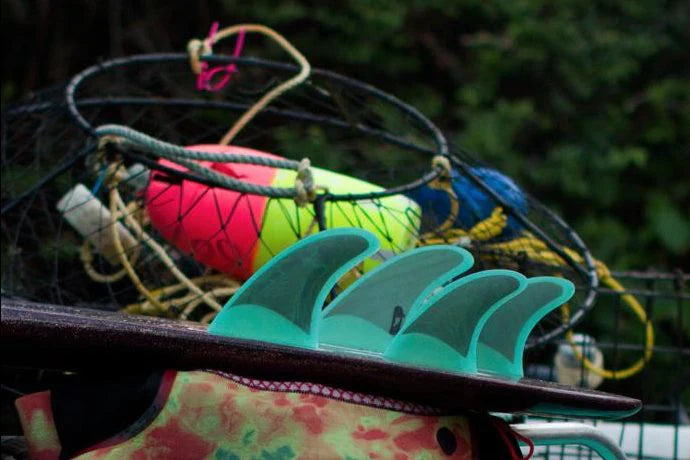 Cleanline Introduces Push Fins
