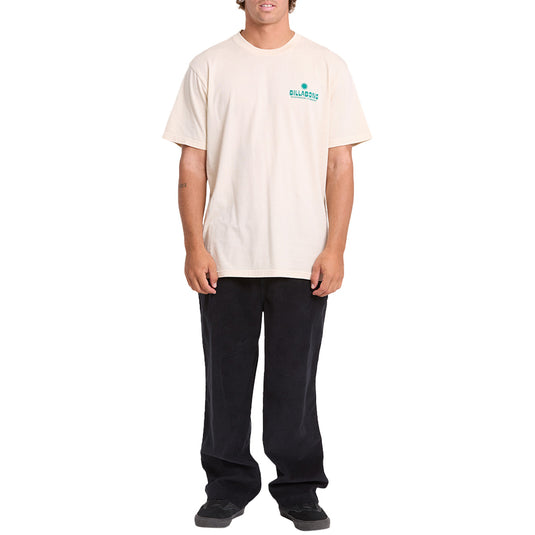 Billabong Glance Wave Washed Premium T-Shirt 5