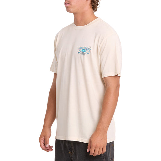 Billabong Arch Wave Washed Premium T-Shirt 8