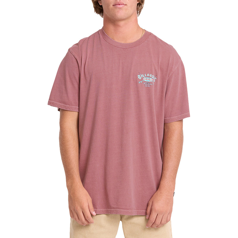 Load image into Gallery viewer, Billabong Arch Wave Washed Premium T-Shirt 1
