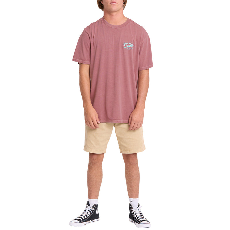 Load image into Gallery viewer, Billabong Arch Wave Washed Premium T-Shirt 5
