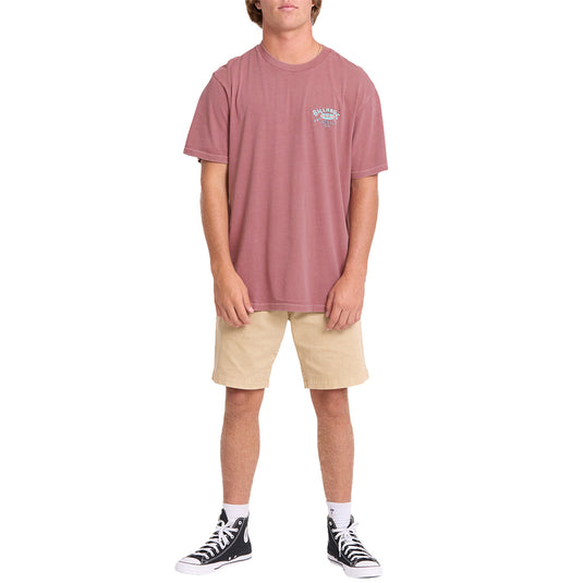 Billabong Arch Wave Washed Premium T-Shirt 5
