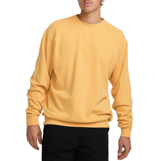 Billabong Wave Washed Crew Sweatshirt 3