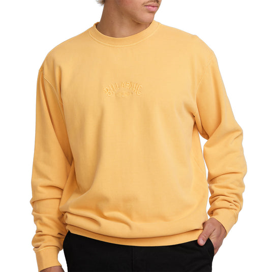 Billabong Wave Washed Crew Sweatshirt 7