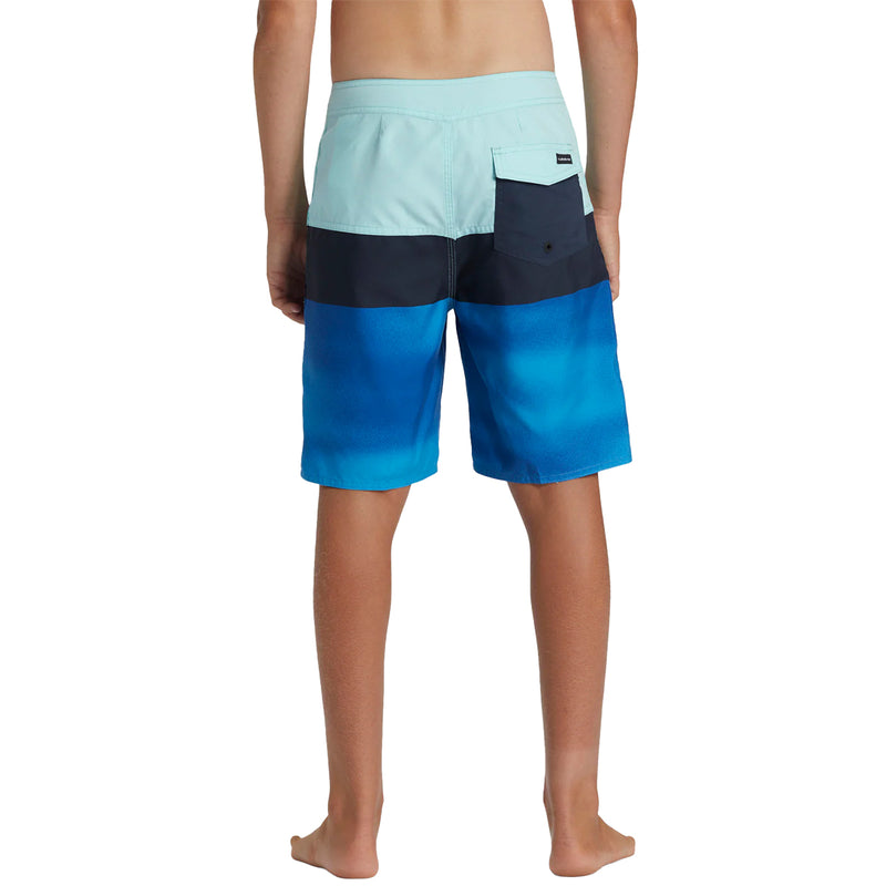 Load image into Gallery viewer, Quiksilver Youth Everyday Panel 17" Boardshorts 5
