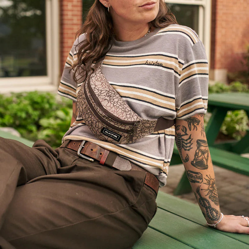 Load image into Gallery viewer, Dakine Classic Hip Pack 4
