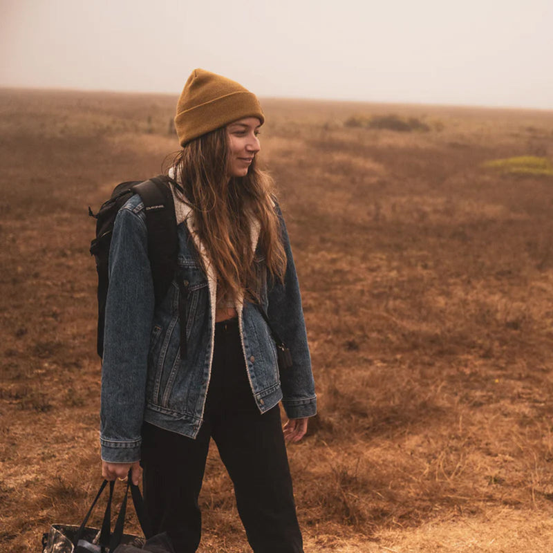 Load image into Gallery viewer, Dakine Cutter Beanie 4
