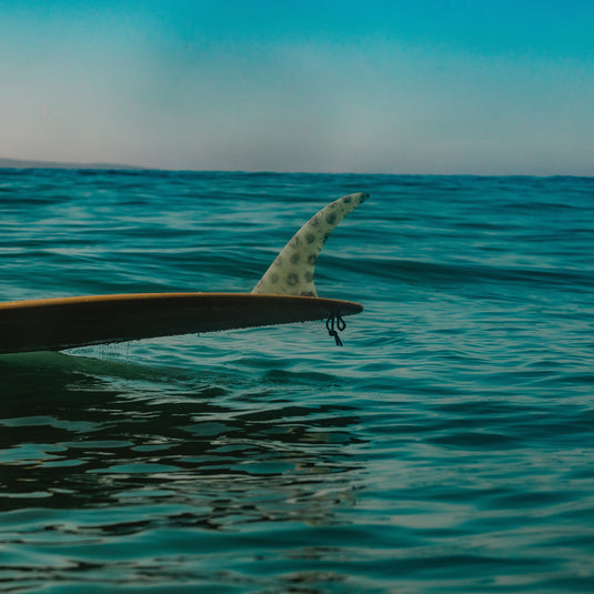 Mid Fin Co. Loindaflow Double Take Single Fin 5