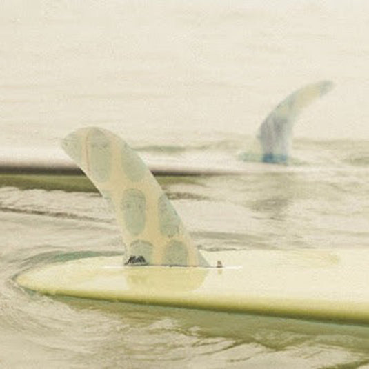 Mid Fin Co. Ivy Miller El Pivot Single Fin 4