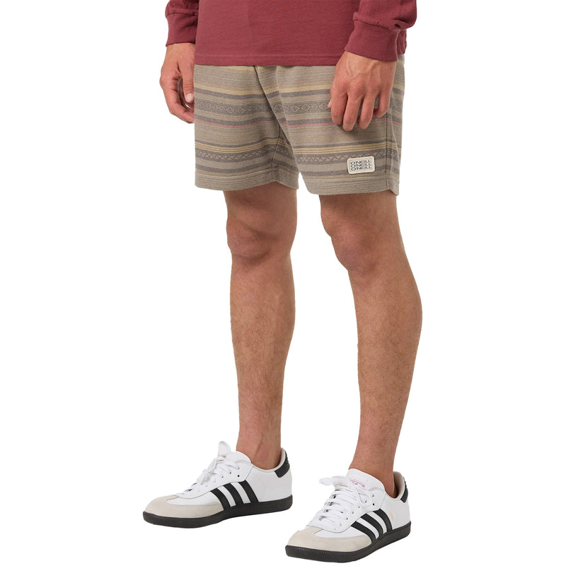 Load image into Gallery viewer, O'Neill Cortez Fleece 18" Shorts 5
