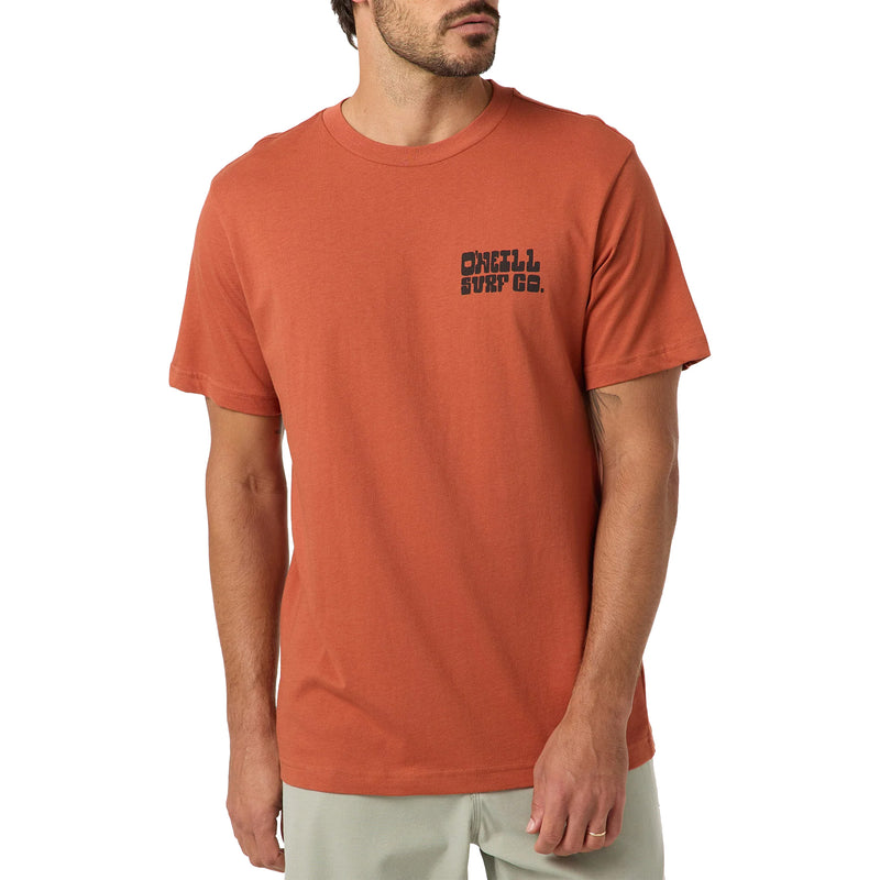 Load image into Gallery viewer, O'Neill De La Cruzer Classic T-Shirt 3
