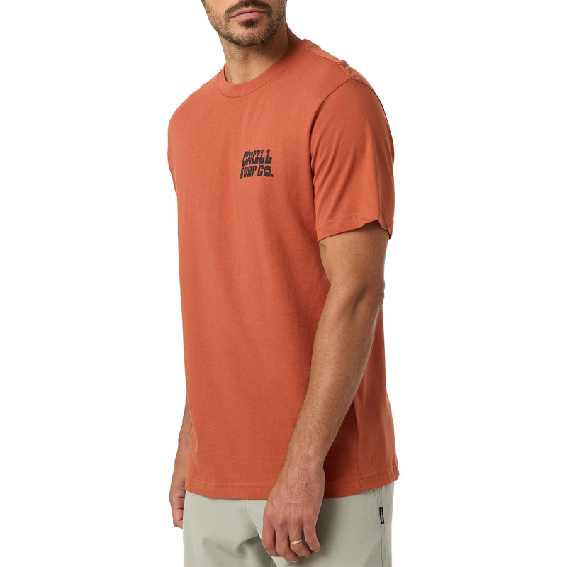 Load image into Gallery viewer, O'Neill De La Cruzer Classic T-Shirt 4
