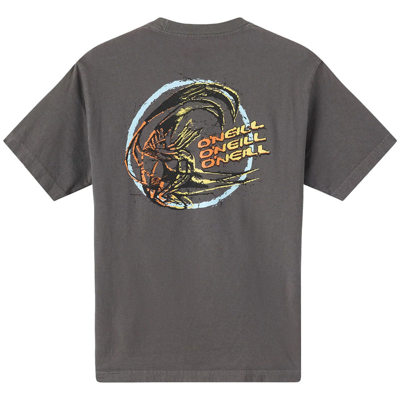 Load image into Gallery viewer, O'Neill Circle Freak Boxy T-Shirt 2
