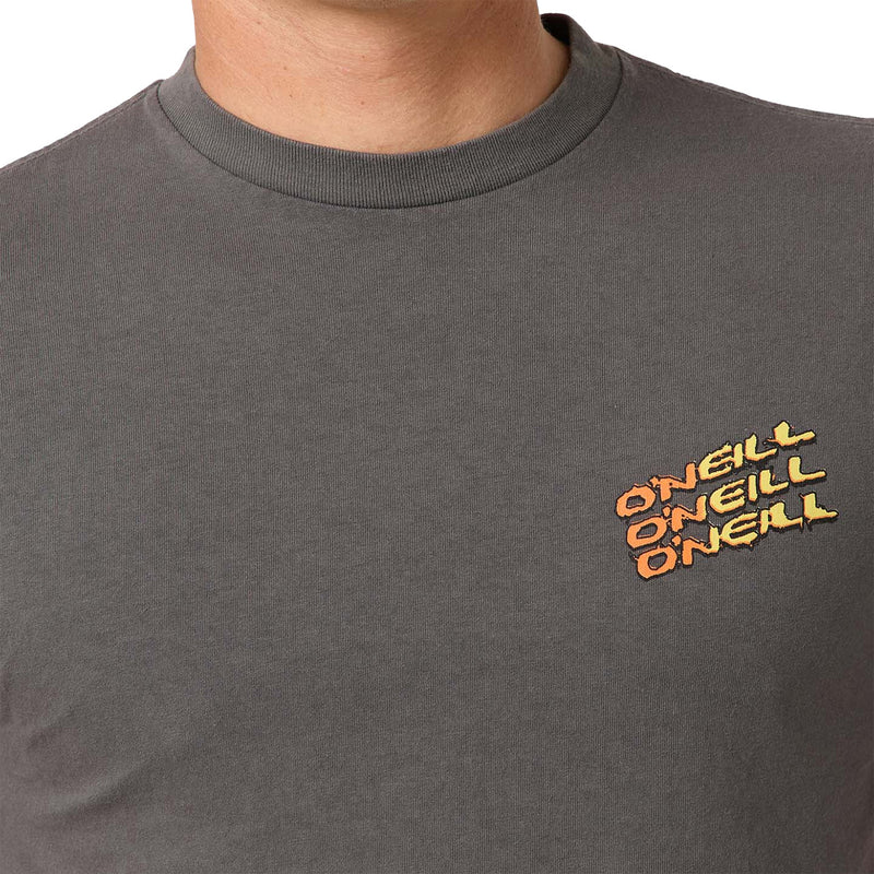 Load image into Gallery viewer, O'Neill Circle Freak Boxy T-Shirt 5
