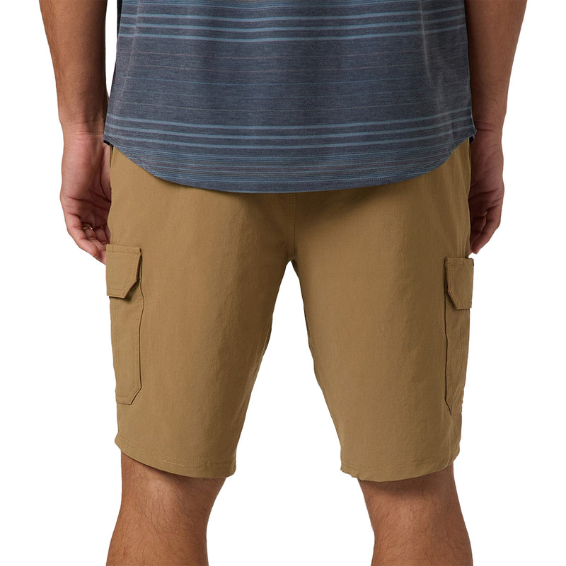 Load image into Gallery viewer, O'Neill TRVLR Cargo Hybrid 20" Shorts 4
