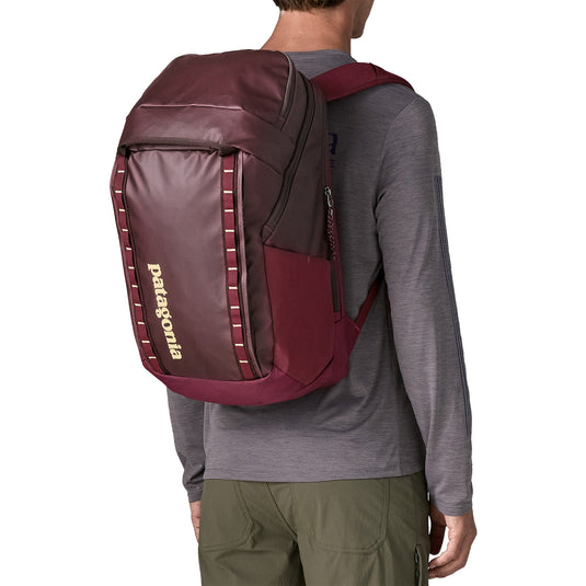 Patagonia Black Hole Backpack - 32L 4