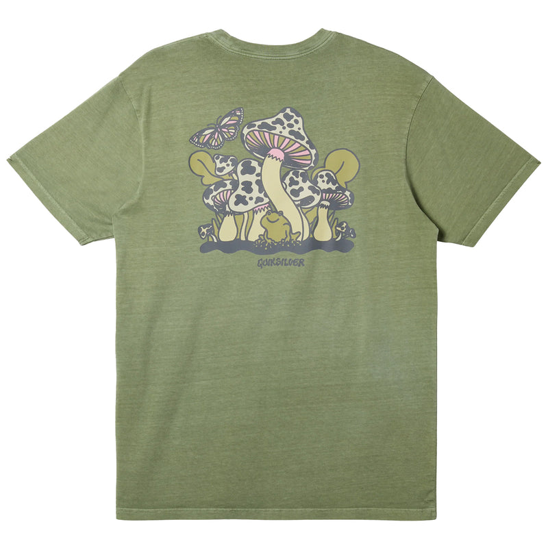 Load image into Gallery viewer, Quiksilver Harsh Mellow T-Shirt 9
