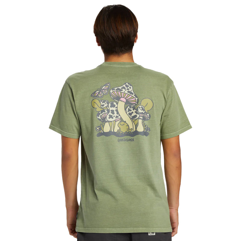 Load image into Gallery viewer, Quiksilver Harsh Mellow T-Shirt 12
