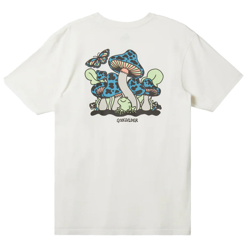 Load image into Gallery viewer, Quiksilver Harsh Mellow T-Shirt 2
