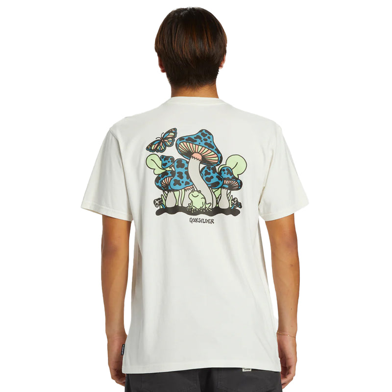 Load image into Gallery viewer, Quiksilver Harsh Mellow T-Shirt 5
