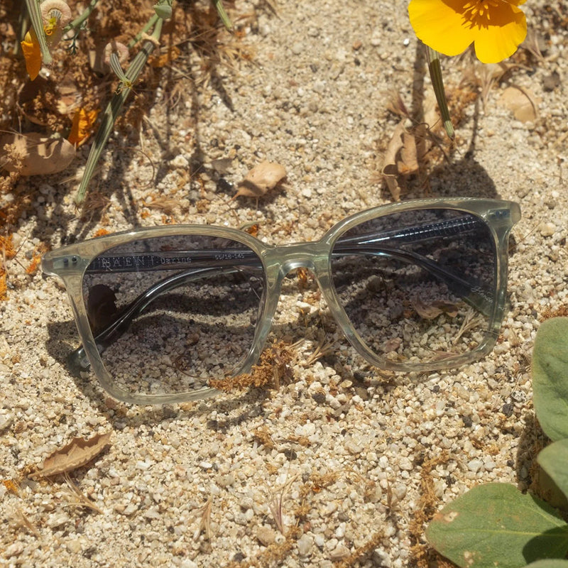 Load image into Gallery viewer, RAEN Women's Darine Sunglasses - Pacifica/Luna 7
