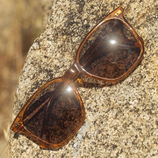 RAEN Women's Darine Sunglasses - Golden Hour/Daydream 6