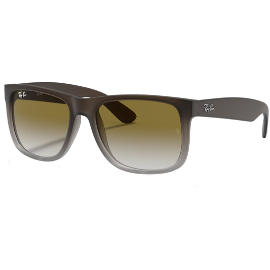 Ray-Ban Justin Classic Sunglasses - Matte Brown/Green 1