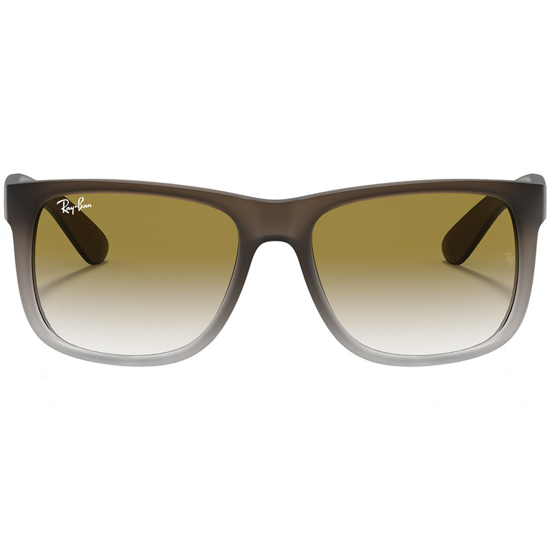Load image into Gallery viewer, Ray-Ban Justin Classic Sunglasses - Matte Brown/Green 2
