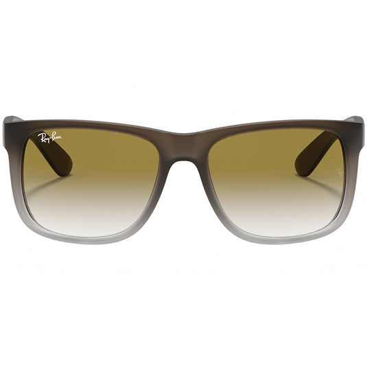 Ray-Ban Justin Classic Sunglasses - Matte Brown/Green 2