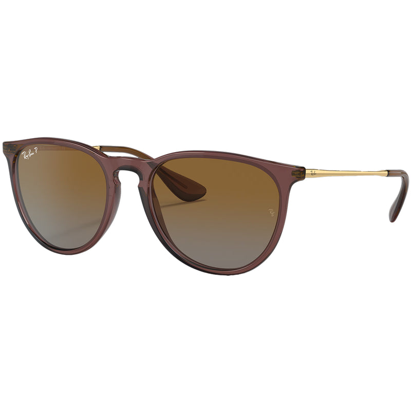 Load image into Gallery viewer, Ray-Ban Erika Classic Polarized Sunglasses - Polished Transparent Dark Brown/Brown 1
