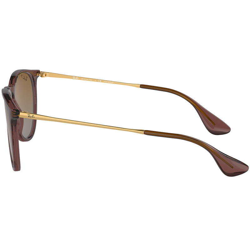 Load image into Gallery viewer, Ray-Ban Erika Classic Polarized Sunglasses - Polished Transparent Dark Brown/Brown 5

