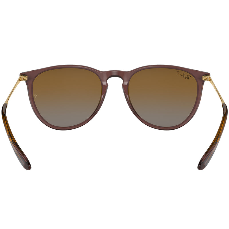 Load image into Gallery viewer, Ray-Ban Erika Classic Polarized Sunglasses - Polished Transparent Dark Brown/Brown 4
