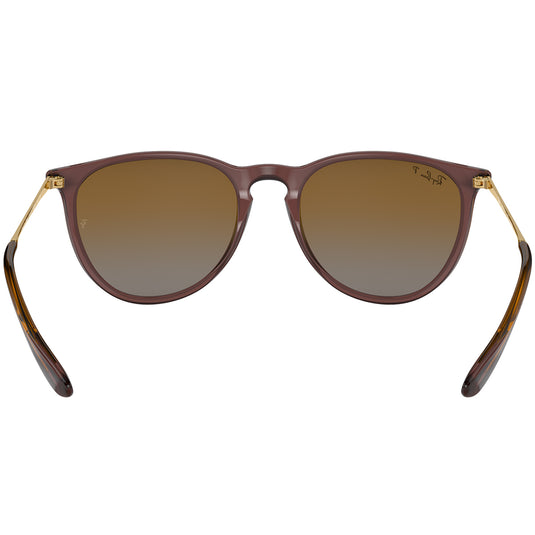 Ray-Ban Erika Classic Polarized Sunglasses - Polished Transparent Dark Brown/Brown 4