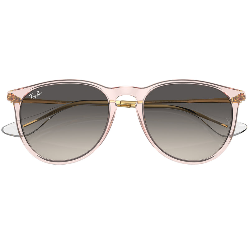 Load image into Gallery viewer, Ray-Ban Erika Classic Sunglasses - Polished Transparent Pink/Gray 6
