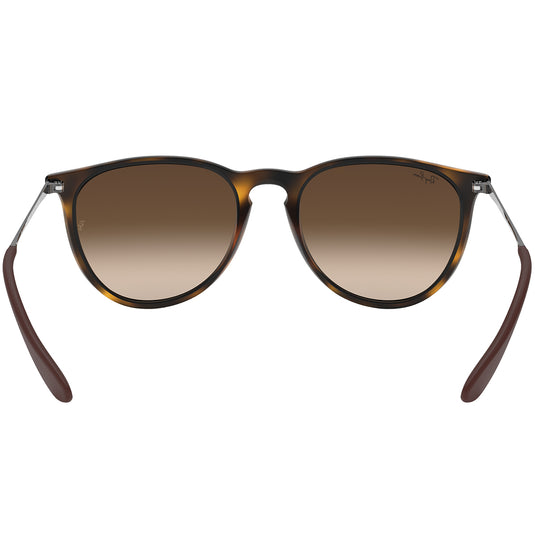 Ray-Ban Erika Classic Sunglasses - Matte Havana/Brown 5