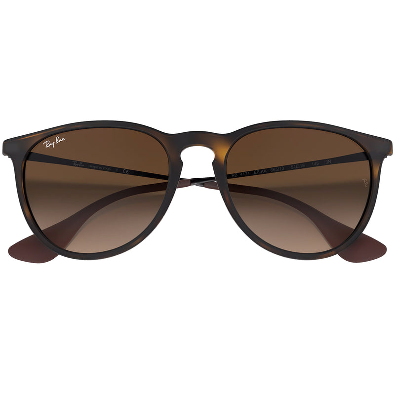 Load image into Gallery viewer, Ray-Ban Erika Classic Sunglasses - Matte Havana/Brown 6
