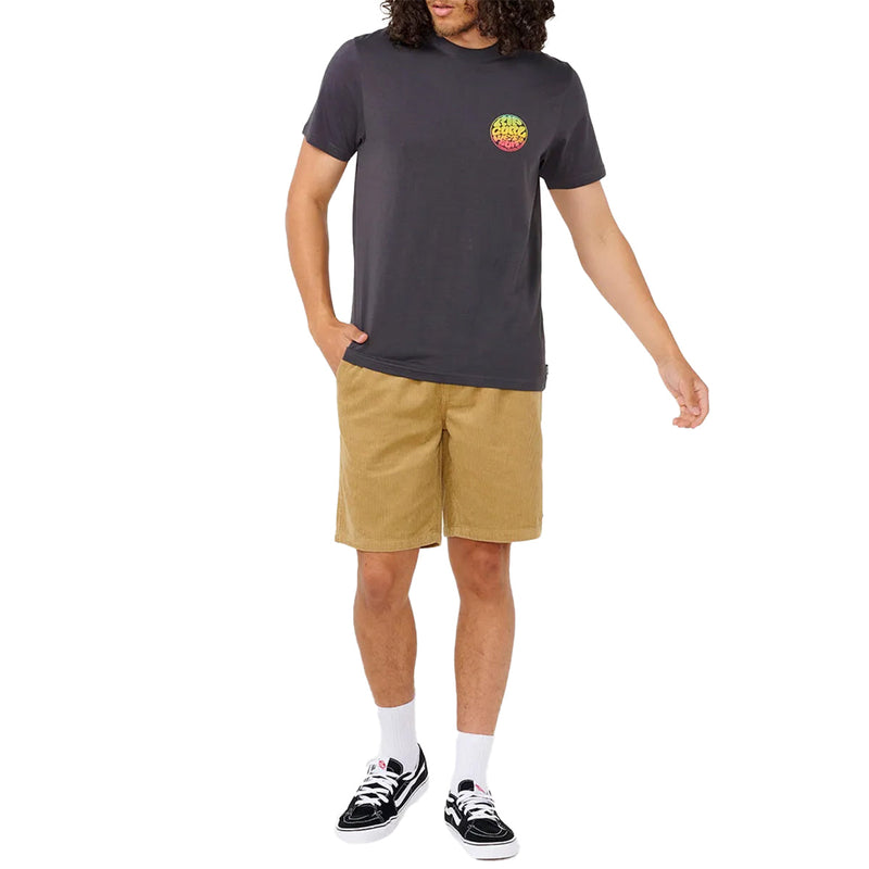 Load image into Gallery viewer, Rip Curl Classic Surf Cord Volley 19" Shorts 5
