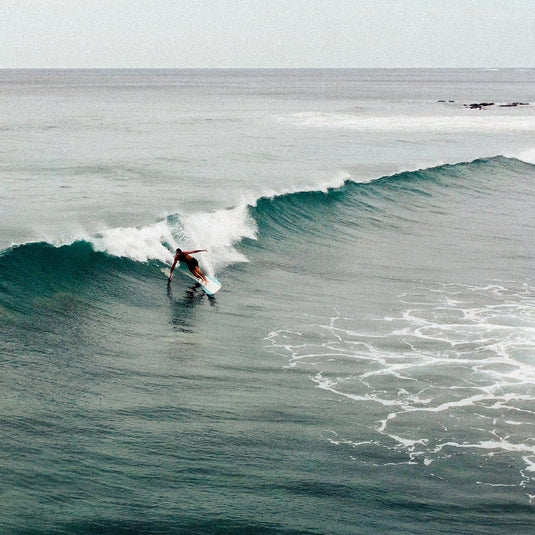 Roger Hinds Renaissance Tuflite Surfboard 6