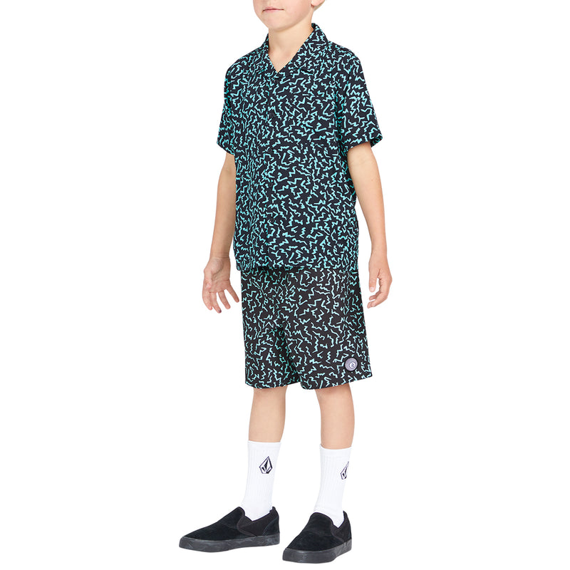 Load image into Gallery viewer, Volcom Youth Little Boys Asphalt Beach 12" Boardshorts 3
