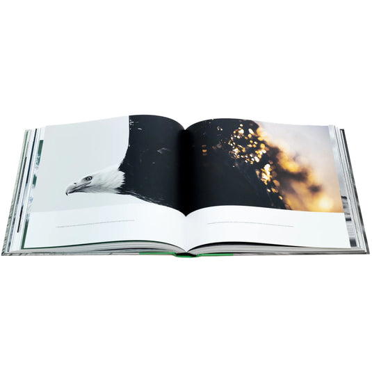 Cold Comfort Book by Marcus Paladino 2