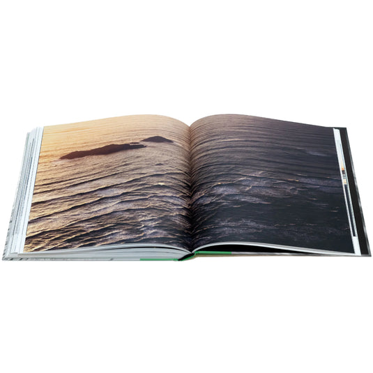 Cold Comfort Book by Marcus Paladino 4
