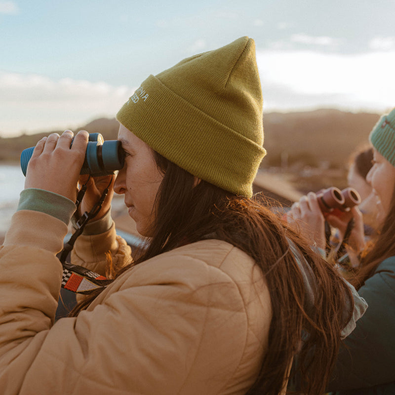 Load image into Gallery viewer, Nocs Provisions Field Issue 8×32 Waterproof Binoculars
