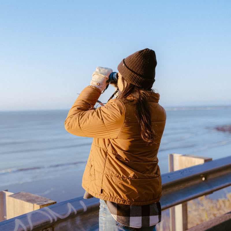 Load image into Gallery viewer, Nocs Provisions Field Issue 10×32 Waterproof Binoculars 25
