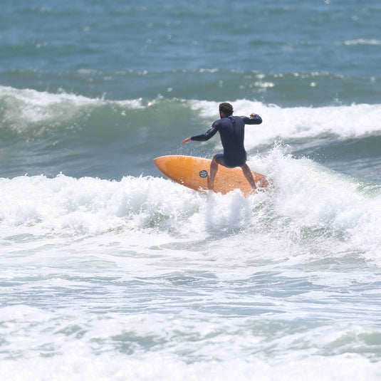 Roger Hinds Dream Fish Fusion-HD Surfboard 3
